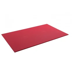Airex Yogamatte & Gymnastikmatte|Gymnastikmatte Atlas Rot