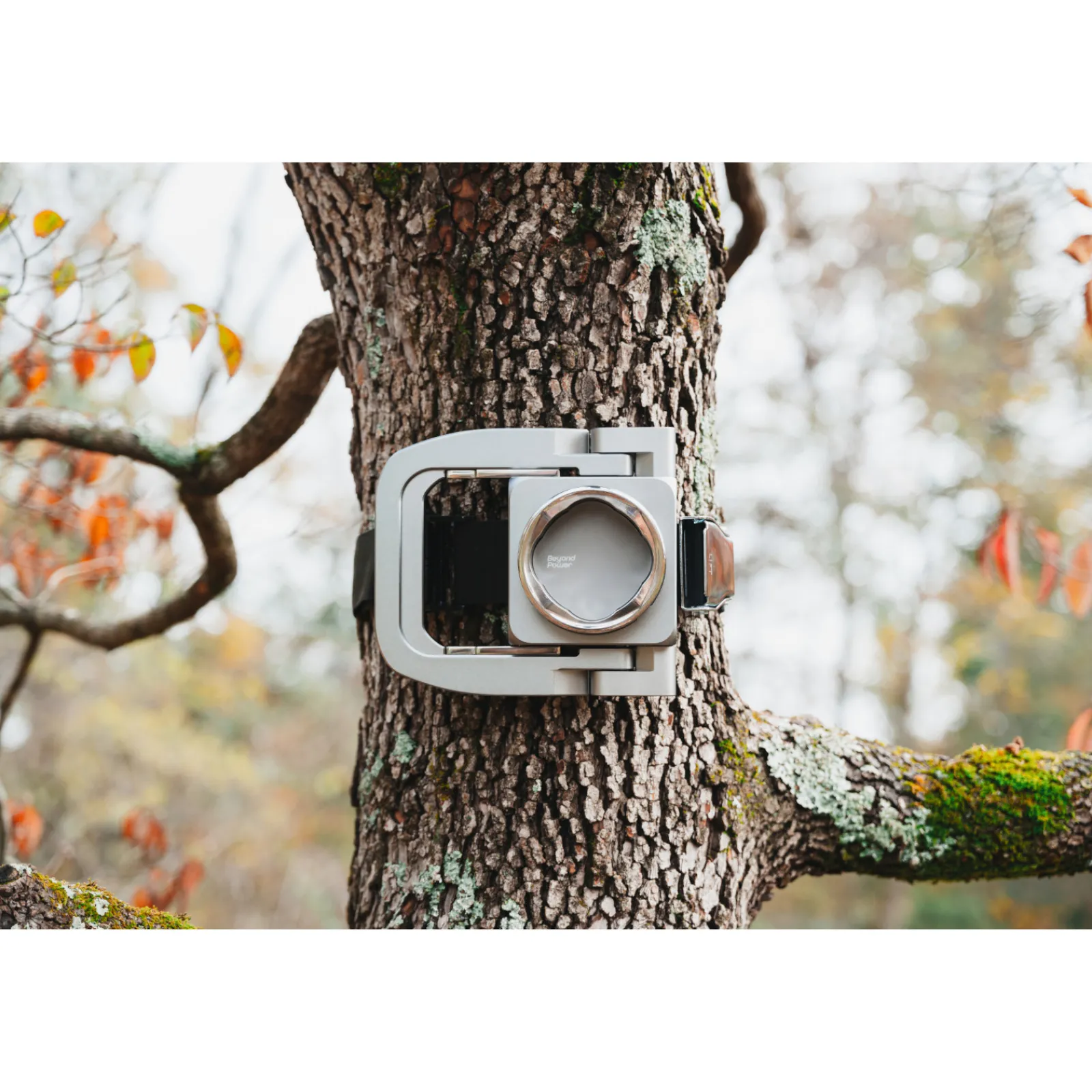 Beyond Power Kraftstation|Kabelzugstation|VOLTRA I Set VOLTRA I + Adaptive Rack Mount + Basic Handle