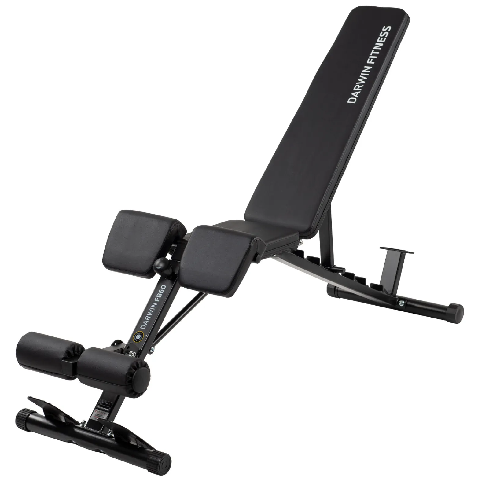 Darwin Fitness Hantelbank|Darwin Hantelbank FB60