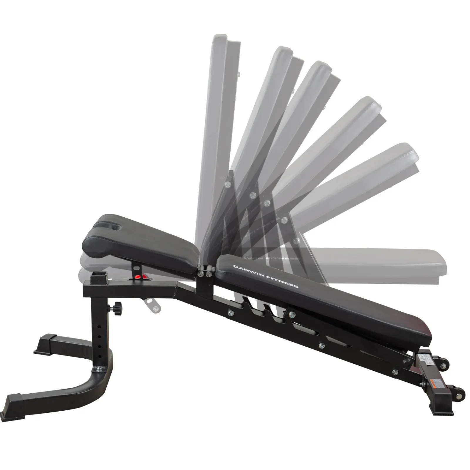 Darwin Fitness Hantelbank|Darwin Hantelbank FB90 und 2 Kurzhanteln 15 kg