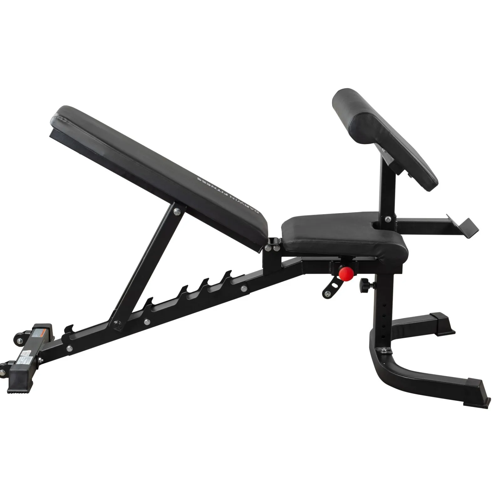 Darwin Fitness Hantelbank|Darwin Hantelbank FB90 und 2 Kurzhanteln 15 kg