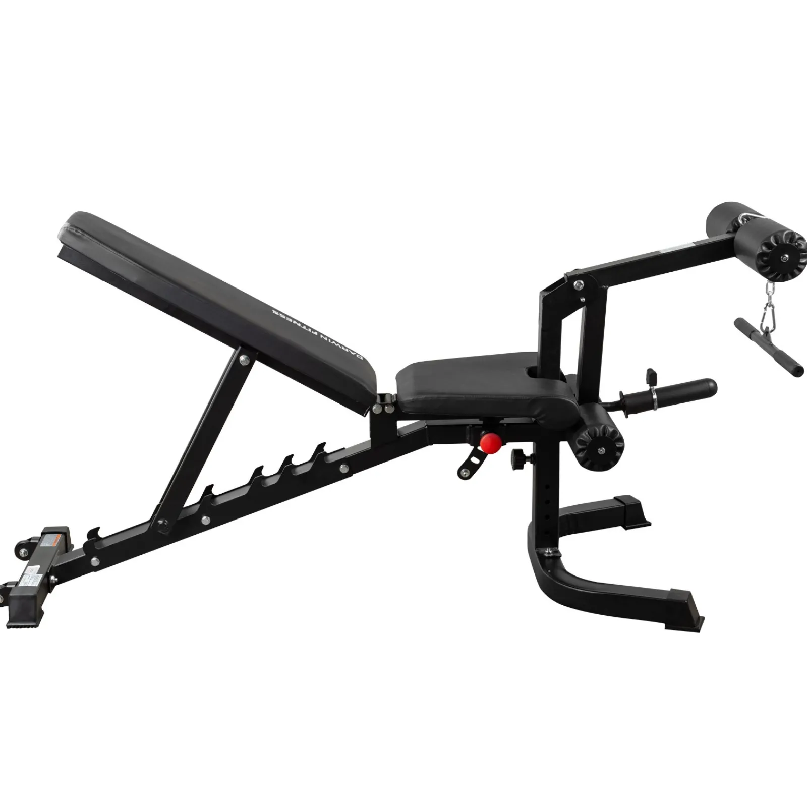 Darwin Fitness Hantelbank|Darwin Hantelbank FB90 und 2 Kurzhanteln 15 kg
