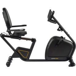 Darwin Fitness Ergometer|Liegeergometer|Darwin Recumbent Bike RB40