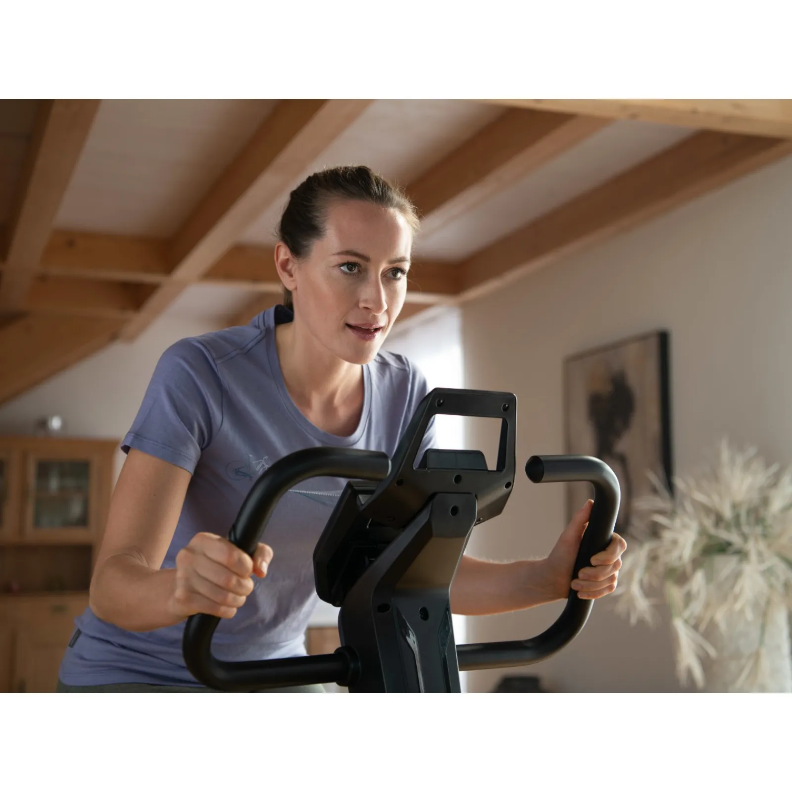 Kettler Heimtrainer|Heimtrainer Ride 100