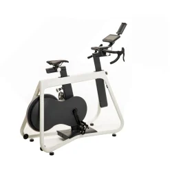 Kettler Indoor Bike|Indoor Bike Frame Plus Shock
