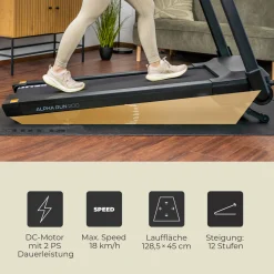Kettler Laufband|Laufband Alpha Run 200 K-TM2020-100