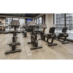 Life Fitness Ergometer|Aspire Ergometer Discover SE4 16
