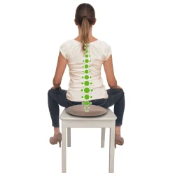 Schildkröt Massagegeräte|Balance Und Koordination|Seat Cushion Fit+