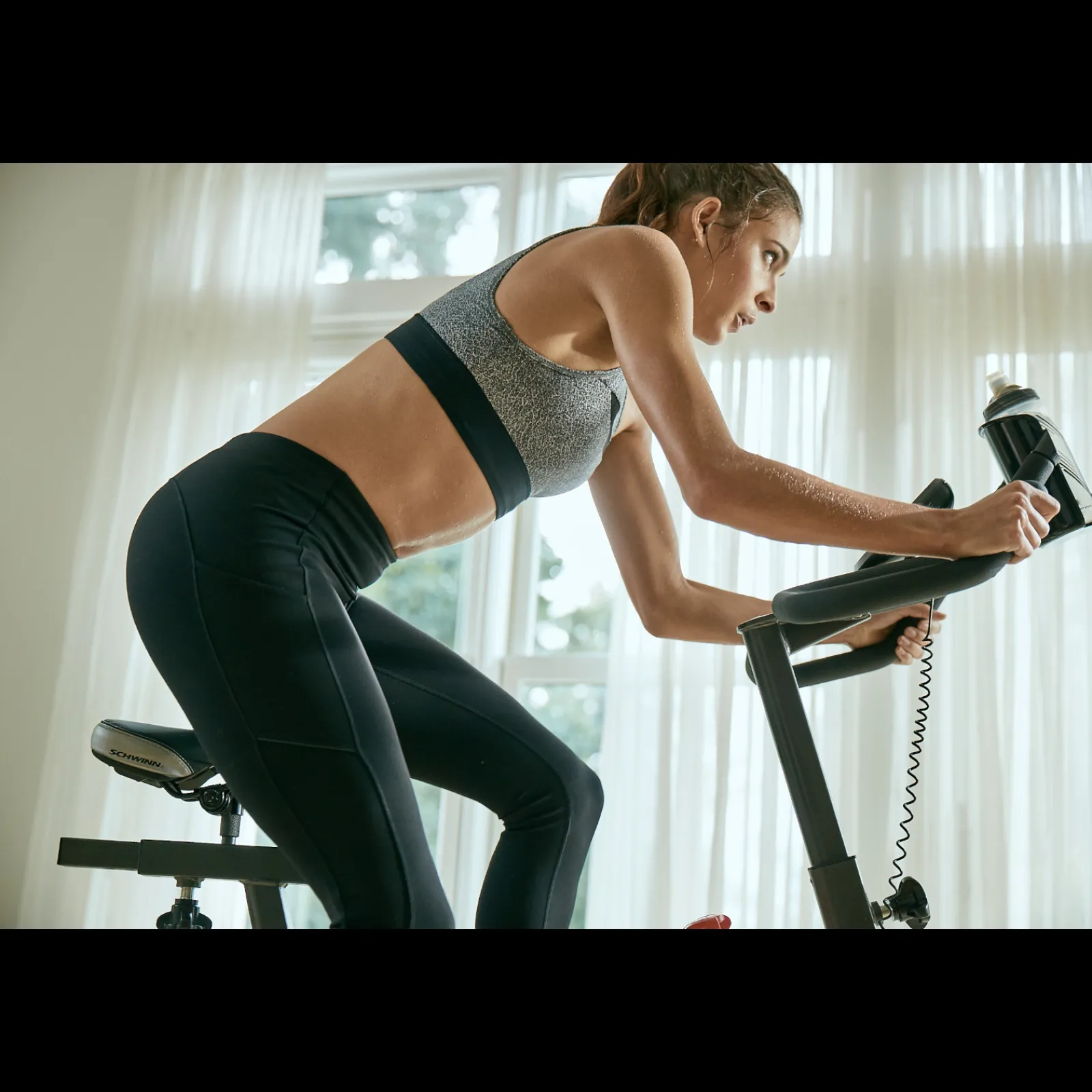 Schwinn Indoor Bike|Speedbike 700IC SCHW-100737