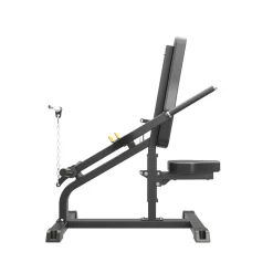 Taurus Kraftstation|Studio-Kraftgeräte|Bizeps-Trizeps Trainer IFP | Biceps-Triceps