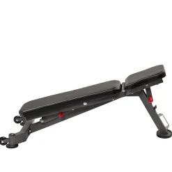 Taurus Hantelbank|Hantelbank B450