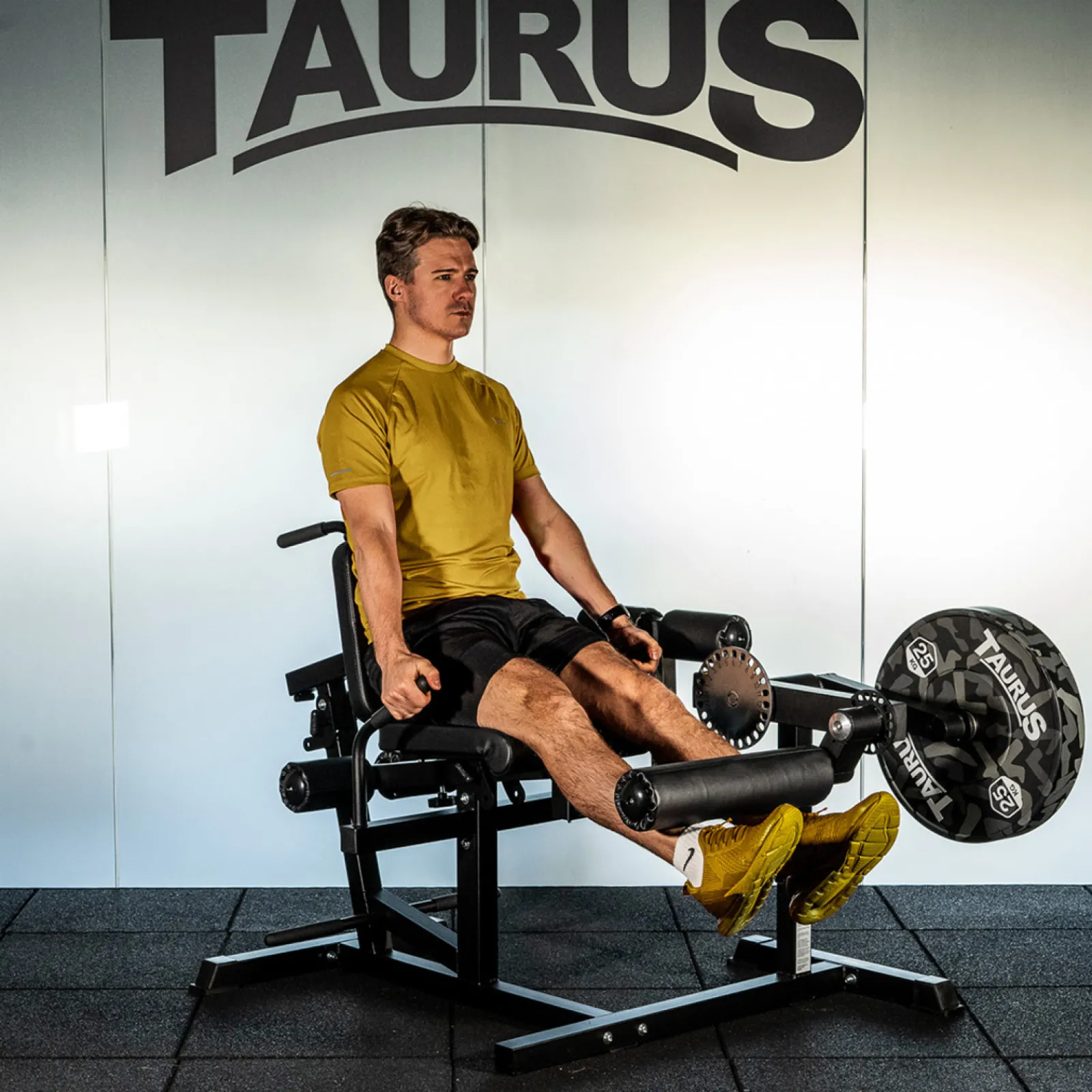 Taurus Kraftstation|4-in-1 Multitrainer