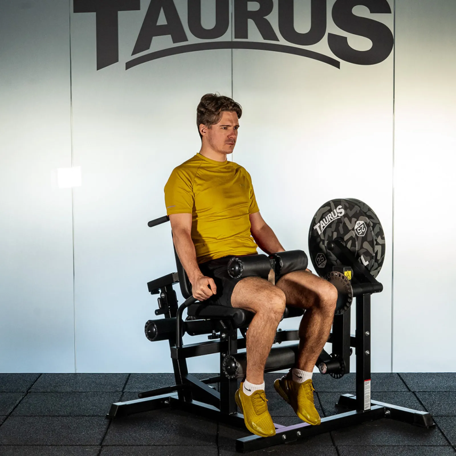 Taurus Kraftstation|4-in-1 Multitrainer