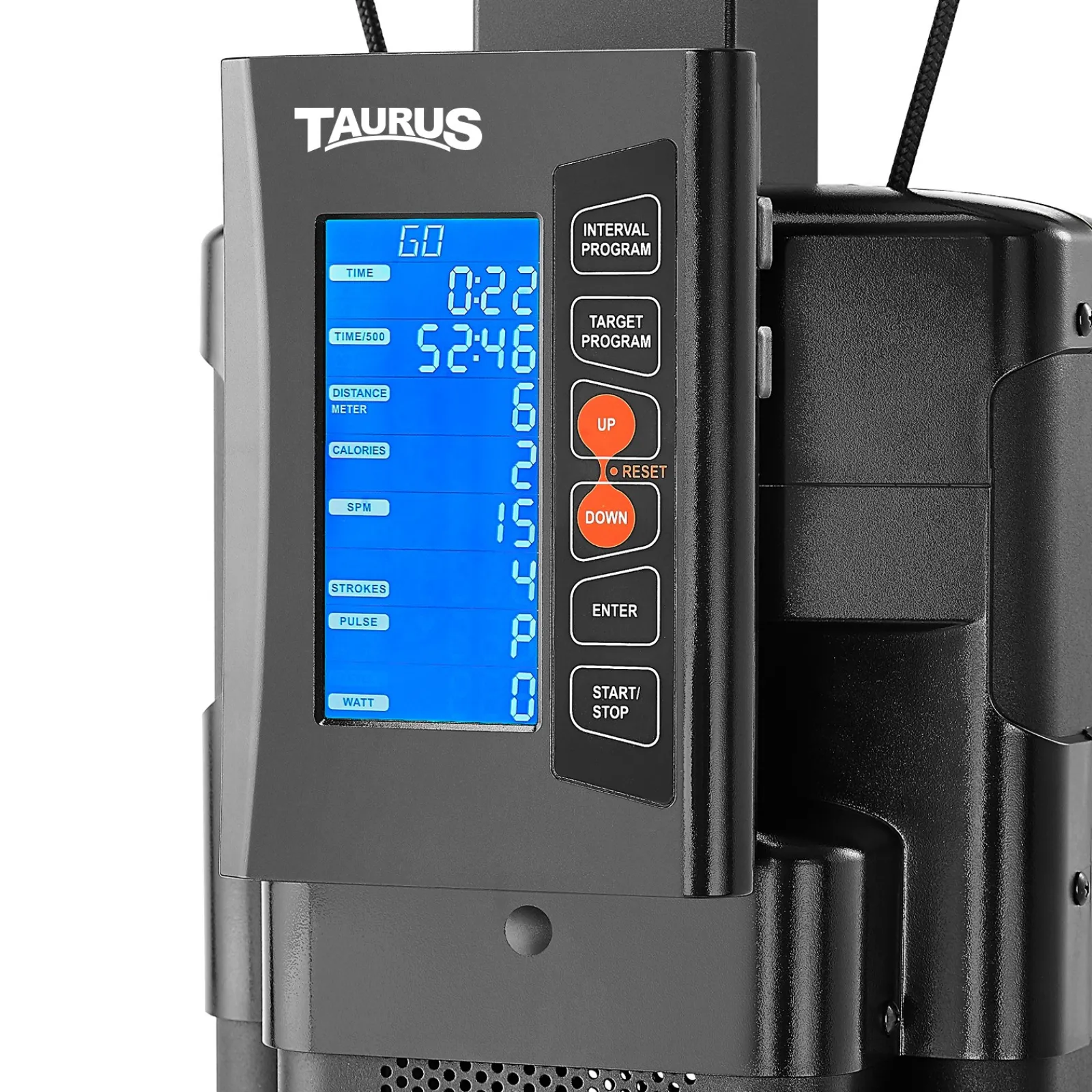 Taurus Rudergerät|Scandic-X Indoor Trainer (Ausstellungsstück)