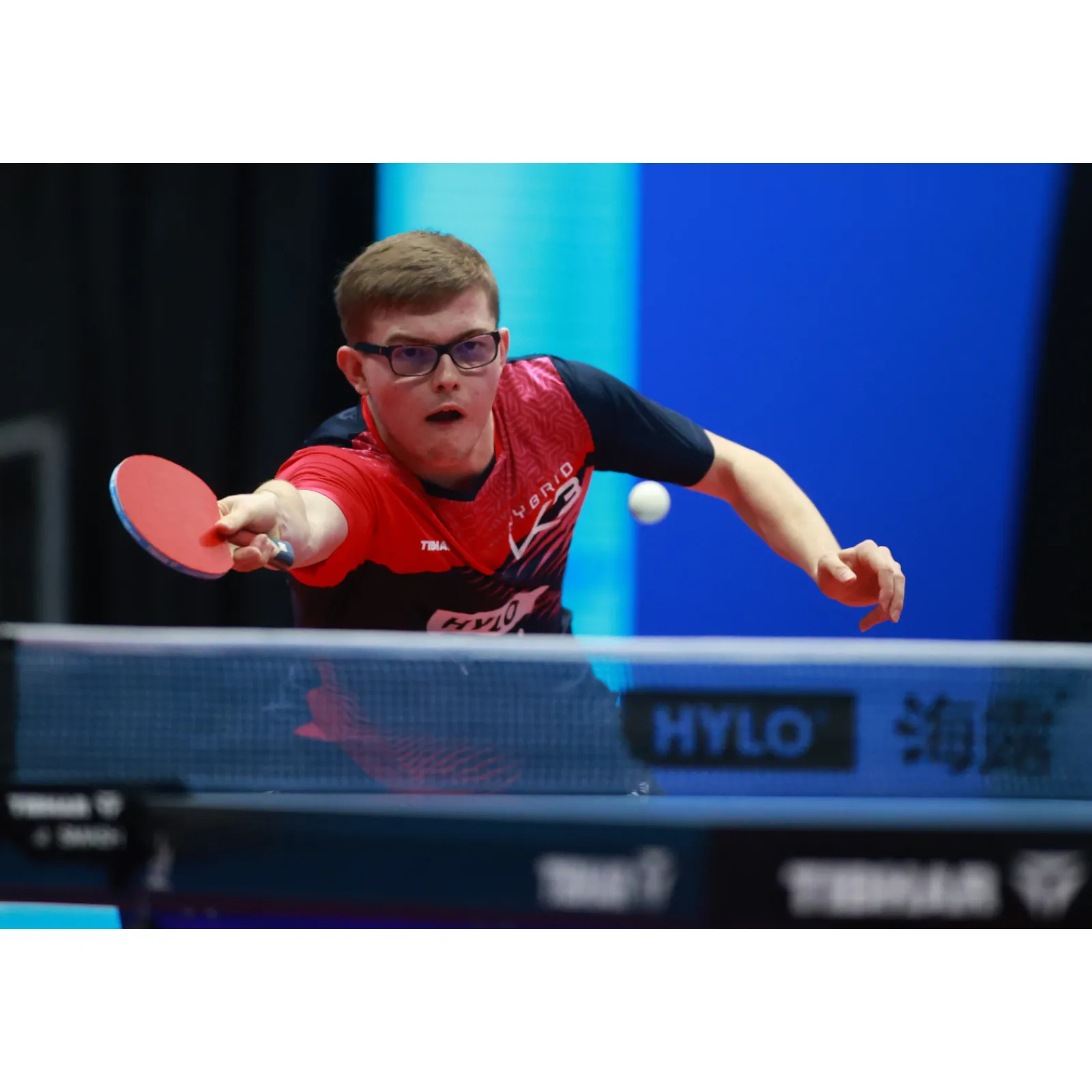 Tibhar Tischtennisschläger|Tischtennischläger Master Alexis Lebrun