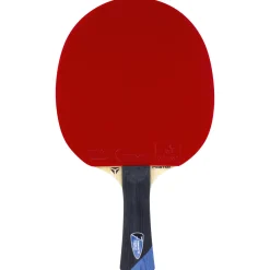 Tibhar Tischtennisschläger|Tischtennisschläger Master Felix Lebrun