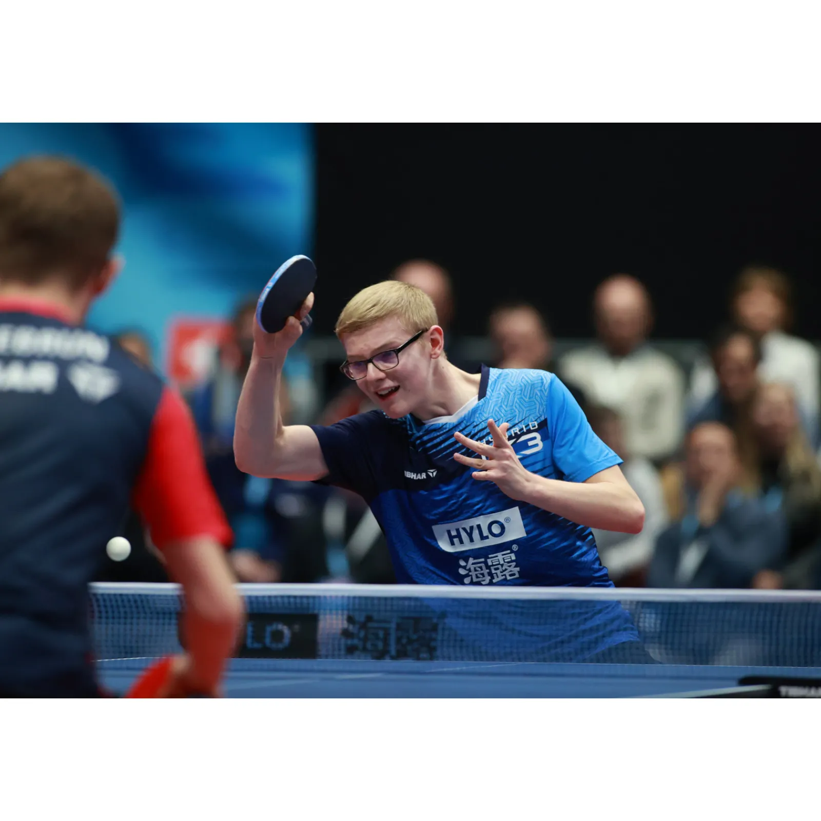 Tibhar Tischtennisschläger|Tischtennisschläger Master Felix Lebrun