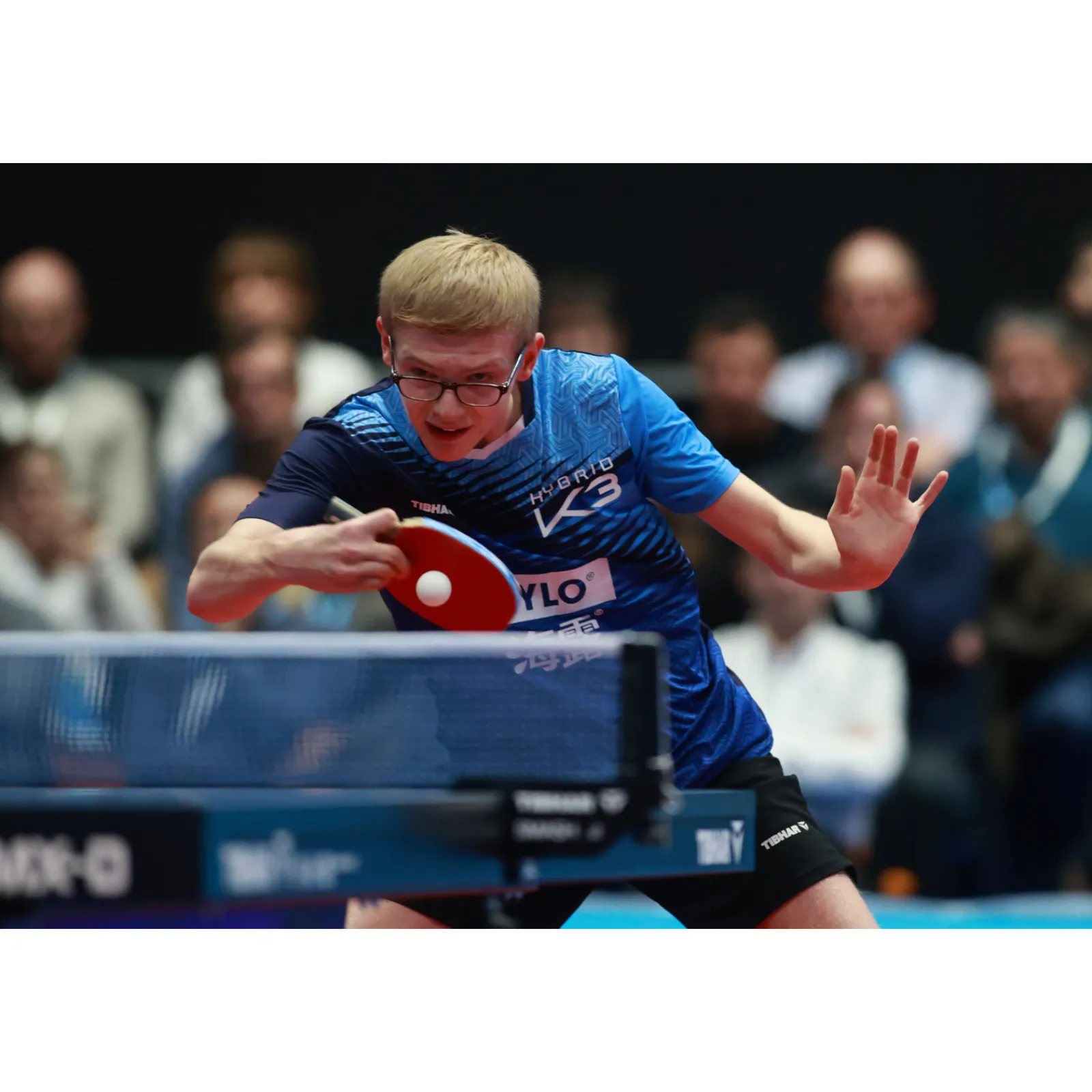Tibhar Tischtennisschläger|Tischtennisschläger Master Felix Lebrun